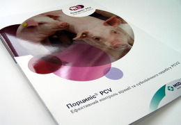 Печать брошюр «Порциліс PCV». Полиграфия типографии Макрос